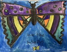 ZN "Save the Butterflies"