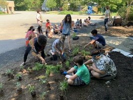 Zane 5th Students Plant a Pollinator Garden